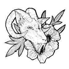 The goat is a symbol of power, vitality, and fertility. Carolina Nudi Fanged Goat Tattoo Design