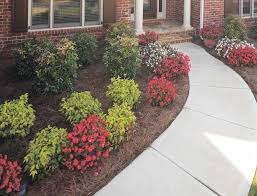 Outdoor Living Ideas The Home Depot Types Of Mulch Garden Club Soil Improvement