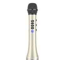 Dewant L-698 15W wireless karaoke microfono con trasmettitore radio FM