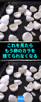 これを見たら もう卵のカラを捨てられなくなる 骨粗鬆症予防に 卵の殻でカルシウム不足を解消 ゆで卵 カルシウム 摂取 カルシウム 食品 カルシウム不足 卵 骨粗鬆症 ちえとく 体にいい食べ物 健康 食べ物 卵ダイエット