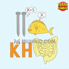 Kunci jawaban permainan game tebak gambar level 2 no 19. Kunci Jawaban Tebak Level 4 Terbaru Beserta Gambarnya
