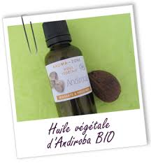 Epingle Sur Aromatherapie