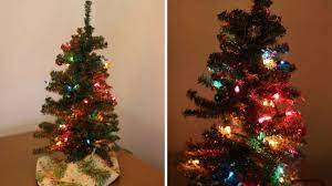 Lighting Up Tiny Trees Tiny Christmas Trees Tree Light Up