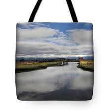 The Little Red Love Shack Shower Curtain by Laurie Search