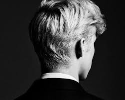 Wikiwaparz Hiphop 1 Music Website Troye Sivan Troye Sivan Album Album Covers