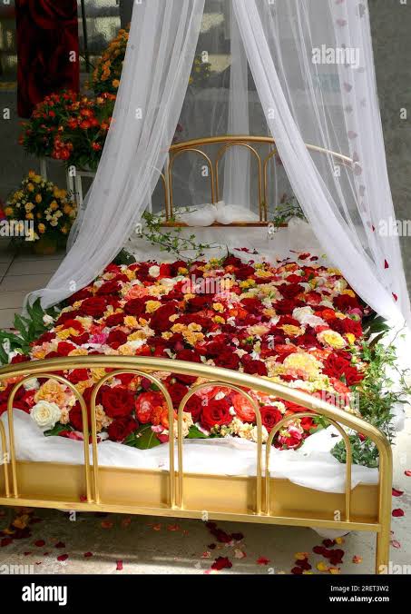 Bedded on roses Bed planted with rose petals, bed of roses, bed of roses  Stock Photo - Alamy