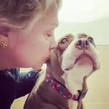 Rosa Centeno (@justdr0se) • Instagram photos and videos