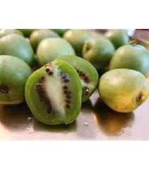 Image result for foto minikiwi