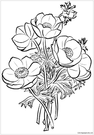 Finding dahlia varieties with the perfect muted colors that designers can actually use in their high end floral work has been an ongoing quest here at floret. Poppies Bouquet Coloring Pages Flower Coloring Pages Coloring Pages For Kids And Adults