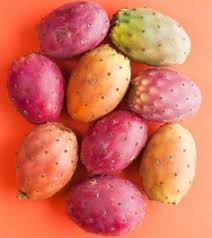 Prickly pear cactus has large flat leaves, which are actually a modified portion of the stem of the plants, that are often referred to as cactus pads. Fruit