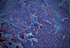 We did not find results for: February 21 2020 Coronavirus News