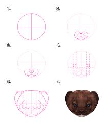 How To Draw Animals Weasels Stoats Minks Polecats And Ferrets Tuts Design Illustration Tutorial Animal Drawings Stoat Ferret