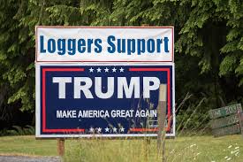 Camper tells of harrowing ordeal in forks (peninsuladailynews.com). Wa More Conservative And More Divided Than You Think Crosscut