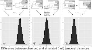 Image result for Cyphostemma heterotrichum