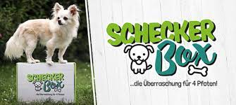 Im schecker hundeshop finden sie für jede lebensphase ihres hundes das passende hundezubehör: Ihr Hundeshop Fur Hund Und Herrchen Schecker Hundebedarf
