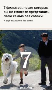 белль и себастьян 2018 смотреть онлайн в хорошем качестве 7 Filmov Posle Kotoryh Vy Ne Smozhete Predstavit Svoyu Semyu Bez Sobaki A Eshyo Vozmozhno Bez Kota Smeshnye Filmy Filmy Semejnye Filmy
