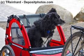 Hund An Fahrradanhanger Gewohnen So Geht S Hund Fahrrad Hundeanhanger Fahrrad Und Fahrradanhanger Hund