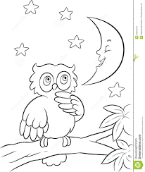 Owl Coloring Page Stock Vector Image 40037219 Owl Coloring Pages Cartoon Coloring Pages Animal Coloring Pages