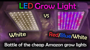 Famurs 3000w led grow light. White Led Vs Red Blue White Led Future Series Intro Video Youtube