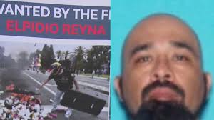 Man throws rocks at border patrol car in Paramount