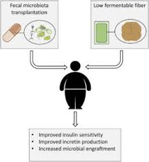 Image result for Fecal Transfer