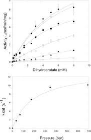 Slub knit creates a rich texture while raw edge along the crewneck adds contemporary appeal. Activation Of Latent Dihydroorotase From Aquifex Aeolicus By Pressure Journal Of Biological Chemistry