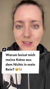 Katze Hustet Ursache