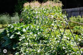 Jun 04, 2021 · have you thought about what will be blooming in your garden in the fall? Planning For A Fall Vegetable Garden
