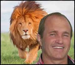 Will court unleash Colorado puma defenders to tree trophy hunters?