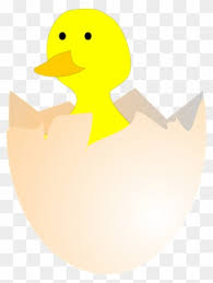 Gambar Kartun Telur Ayam Menetas Clipart 1436726 Pinclipart