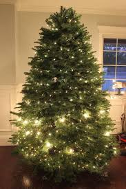 Oh Christmas Tree Dream Book Design Christmas Lights Indoor Christmas Christmas