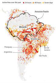 Amazon Rainforest Fires How Can We Solve This Crisis Amazon Rainforest Rainforest Brazil Amazon Rainforest