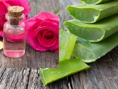 Chehre Par Aloe Vera or Gulab Jal Kaise Lagaye चेहरे पर इन 5 तरीकों से  लगाएं से एलोवेरा और गुलाब जल, छूमंतर हो जाएंगे दाग-धब्बे और मुंहासे |  TheHealthSite.com Hindi Photo Gallery