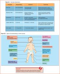 Image result for Neonatal Circulation Assessment