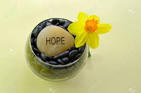 Check spelling or type a new query. The Daffodil A Universal Symbol Of Hope And Life As Well As A Symbol Of Strength