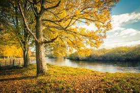Here you can get the best wallpapers scenery for your desktop and mobile devices. 4 014 833 Scenery Photos Free Royalty Free Stock Photos From Dreamstime
