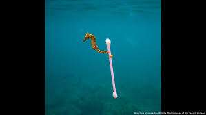 See more of d&r sports center on facebook. German Plastic Floods Southeast Asia In Depth Dw 23 01 2019