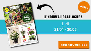 Mylidl members receive 3% off every shoplidl order, so you can have please sign in or join to set a store for a more personalized experience and specific product pricing in your area. Anti Crise Fr Catalogue Lidl Du 21 Avril Au 30 Mai 2021 Bons Plants Lidl Le Nouveau Catalogue Du 21 Avril Au 30 Mai 2021 Est Disponible Ne Ratez Pas Les Promos Du Catalogue