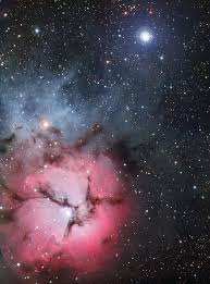 How about news china government ban ico? Trifid Triple Treat Eso