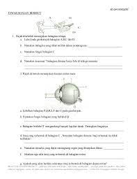 Latihan Pengukuhan Sains Ting 2