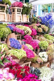 Columbia Road Flower Market Columbia Road Flower Market Flower Market Blue Flower Arrangements