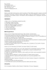 professional gis analyst templates to