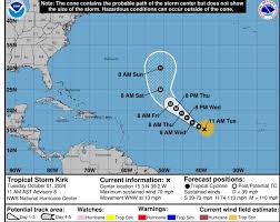 Image result for Tragia kirkiana