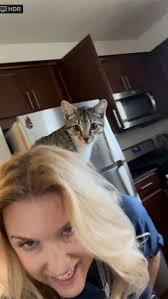 Day 10 of the 10 days of flying down to St. Petersburg and back. I may not  be able to work because I have a cat