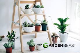 Looking for an affordable proposition. Our 30 Best Indoor Plants Easy To Care For House Plants Guide