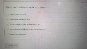Maybe you would like to learn more about one of these? Which Functional Plant Cells Lack A Nucleus O Chegg Com