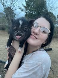 Is there a definitive list of what pot-bellied pigs can and can't have to  eat? My dad lives next door and is constantly throwing snacks into the pen.  Produce that he doesn't