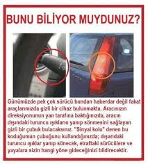 Ozlem Diken Adli Kullanicinin Bunu Biliyor Muydunuz Panosundaki Pin Komik Komik Cocuklar Gercekler