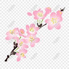 Detail dari bunganya yang cantik, tak hanya ketika mekar dan kuncup sekaligus dengan aksen daunnya. Kartun Minimalis Indah Bunga Sakura Merah Muda Segar Png Grafik Gambar Unduh Gratis Lovepik