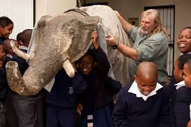 Basil Mills: the South African Steve Irwin